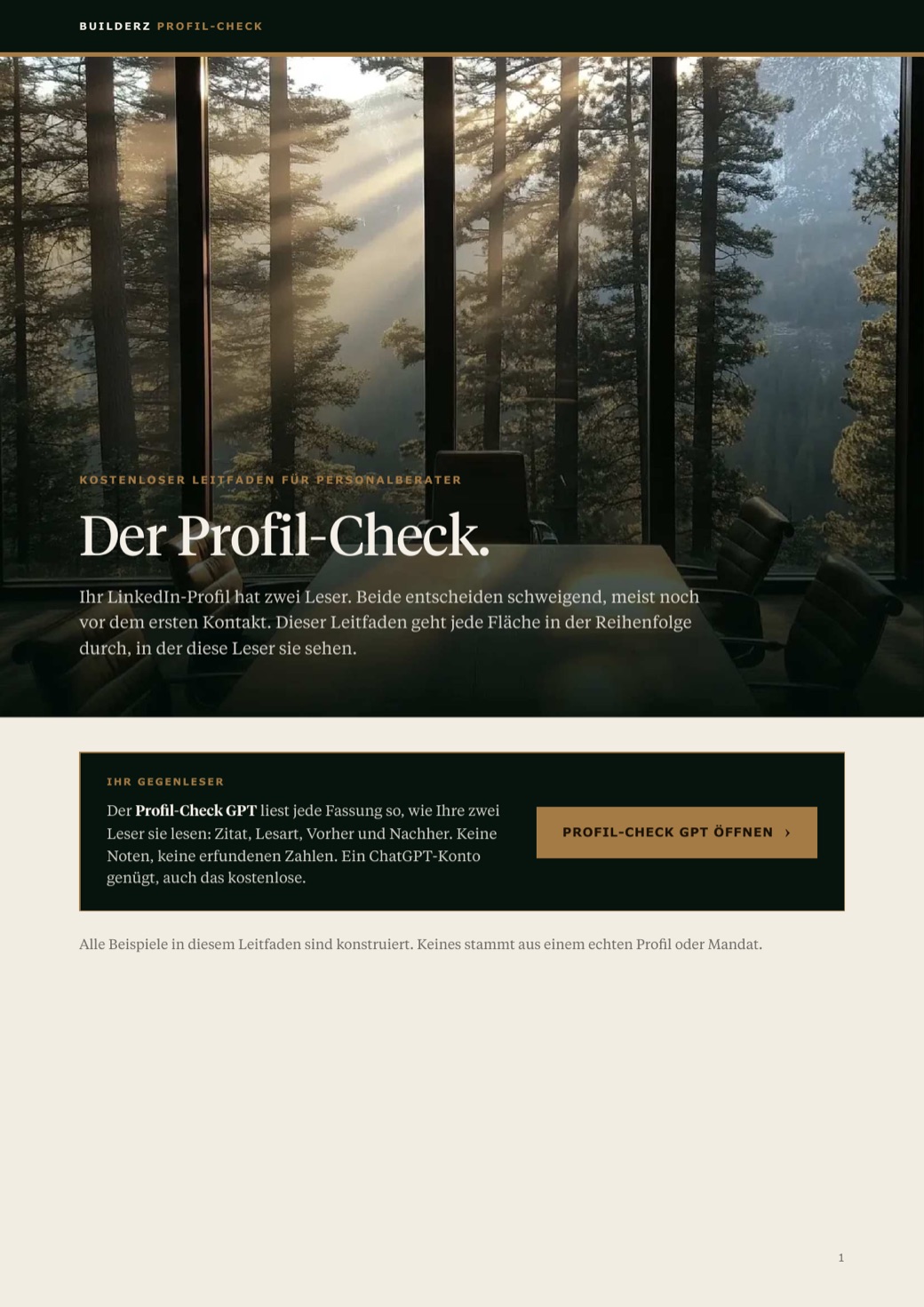Titelseite des Profil-Check-Leitfadens